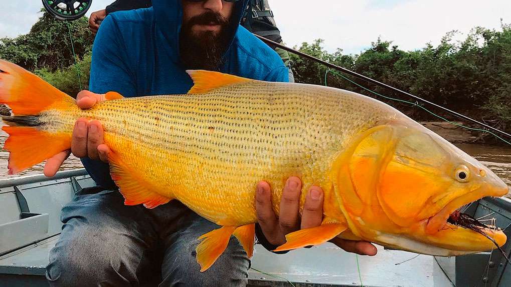 Pesca Embarcada